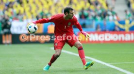 UEFA Frankreich Euro 2016 Irland - Schweden