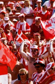 14.06.88 Deutschland - D&auml;nemark