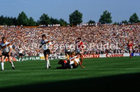 14.06.88 Deutschland - D&auml;nemark