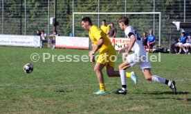 23.08.26 TSV Ph&ouml;nix Steinsfurt - SV Tiefenbach