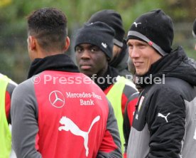 VfB Stuttgart Training