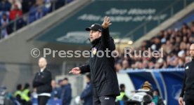 23.02.25 TSG 1899 Hoffenheim - VfB Stuttgart