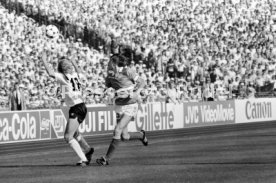 14.06.88 Deutschland - D&auml;nemark
