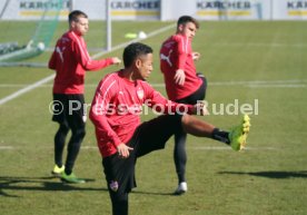 VfB Stuttgart Training