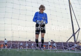 FIFA WM 1978