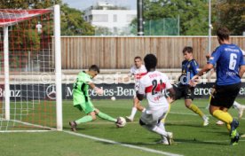 30.09.23 VfB Stuttgart II - TuS Koblenz