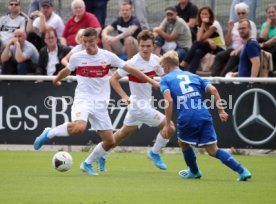 U 19 Junioren Bundesliga VFB Stuttgart-TSG 1899 Hoffenheim