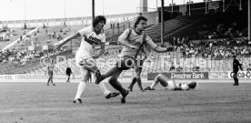 VfB Stuttgart - Spandauer SV