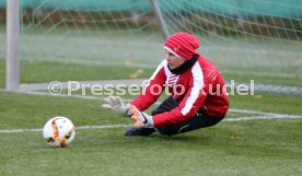 VfB Stuttgart Training