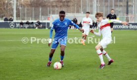 04.02.23 U19 VfB Stuttgart - U19 TSG 1899 Hoffenheim