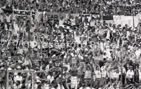 25.05.88 PSV Eindhoven - Benfica Lissabon