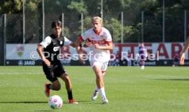 21.09.24 U19 VfB Stuttgart - U19 SV Elversberg