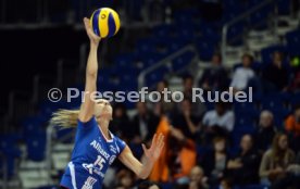 Dresdener SC - Allianz MTV Stuttgart