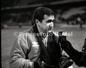 17.11.93 Deutschland - Brasilien