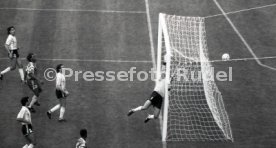 WM 1990 Argentinien - Kamerun