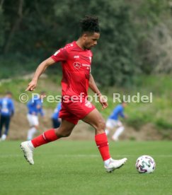 VfB Stuttgart - MOL Fehevar FC
