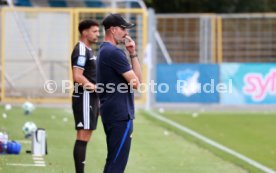 29.08.26 TSG 1899 Hoffenheim II - SSV Jahn Regensburg
