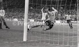 15.06.74 Polen - Argentinien