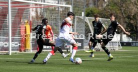 25.04.26 U17 VfB Stuttgart - U17 Hannover 96