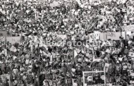 25.05.88 PSV Eindhoven - Benfica Lissabon