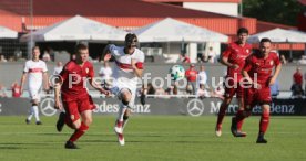 VFB Stuttgart-Fan Auswahl Spiel