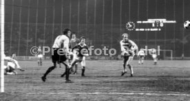 19.02.79 VfB Stuttgart - Deutschland