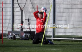 06.11.23 VfB Stuttgart Training