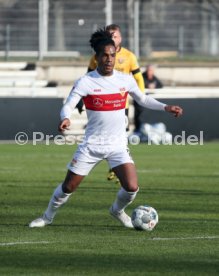 VfB Stuttgart - SG Dynamo Dresden