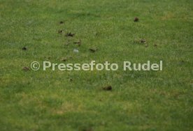 29.08.20 Stuttgarter Kickers - 1. FC Rielasingen-Arlen
