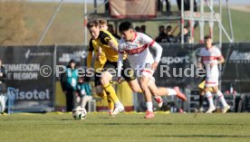 08.02.25 VfB Stuttgart II - SG Dynamo Dresden