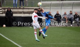 24.03.23 VfB Stuttgart - 1. FC Heidenheim