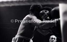 02.12.83 Boxen Rene Weller