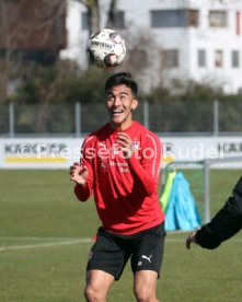 VfB Stuttgart Training