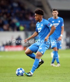 TSG 1899 Hoffenheim - Olympique Lyon