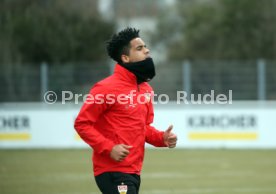 VfB Stuttgart Training