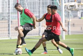 VfB Stuttgart Training
