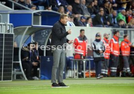 TSG 1899 Hoffenheim - Manchester City