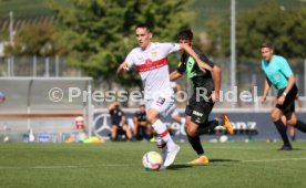 24.08.22 VfB Stuttgart - FC St. Gallen
