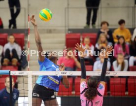 Allianz MTV Stuttgart - Beziers VB