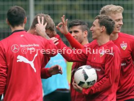 VfB Stuttgart Training
