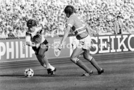 14.06.88 Deutschland - D&auml;nemark