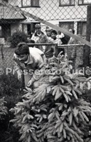 25.05.88 PSV Eindhoven - Benfica Lissabon