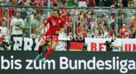 Audi Cup 2015