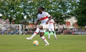 09.07.22 VfB Stuttgart - FC Z&uuml;rich