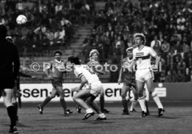 VfB Stuttgart - 1. FC K&ouml;ln