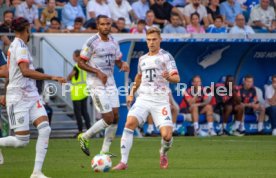 20.09.25 TSG 1899 Hoffenheim - FC Bayern M&uuml;nchen