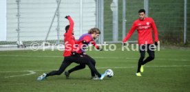 VfB Stuttgart Training