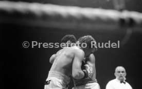 05.03.88 Boxen Rene Weller