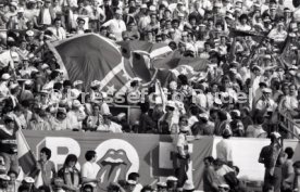 25.05.88 PSV Eindhoven - Benfica Lissabon