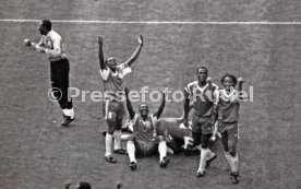 WM 1990 Argentinien - Kamerun